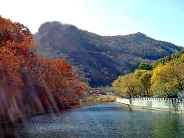 澳门精准正版免费大全14年新，菲亚特菲翔销量